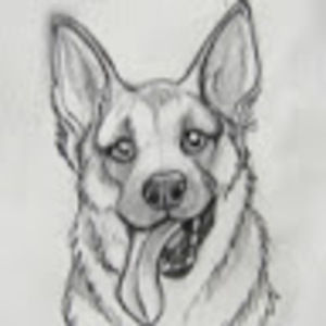 Meet your Posher, Ella